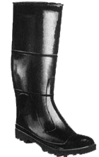 Knee Boots